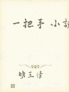 一把手 小说
