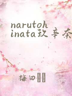 narutohinata玖辛奈本子
