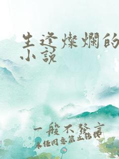 生逢灿烂的日子小说