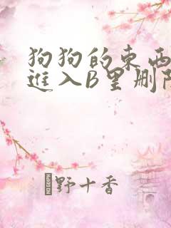 狗狗的东西直接进入B里删除