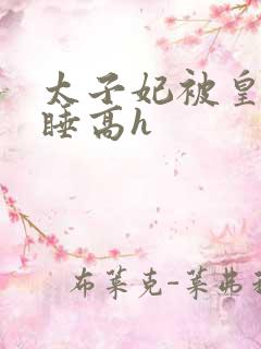 太子妃被皇上强睡高h