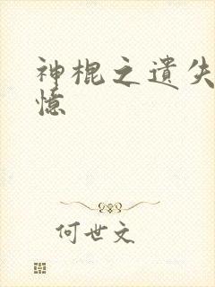 神棍之遗失的记忆