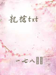 龙枪txt