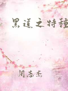 黑道之特种兵王