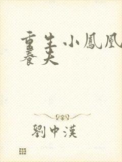 重生小凤凰的童养夫