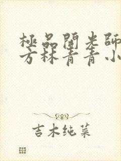 极品开光师李南方林青青小说免费阅读