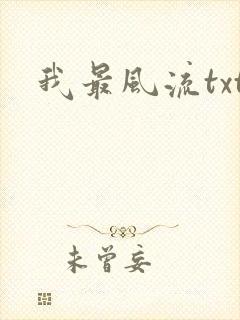 我最风流txt