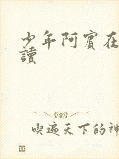 少年阿宾在线阅读