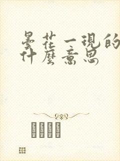 昙花一现的现是什么意思