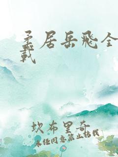 柔居岳飞全传下载