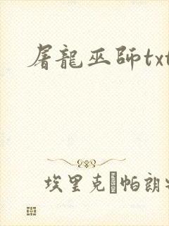 屠龙巫师txt