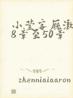 小莹客厅激情38章至50章