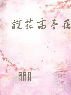 护花高手在江湖