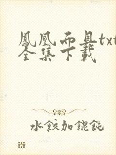 凤凰面具txt全集下载