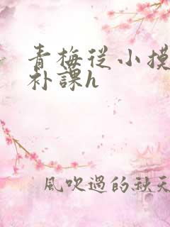 青梅从小摸到大补课h