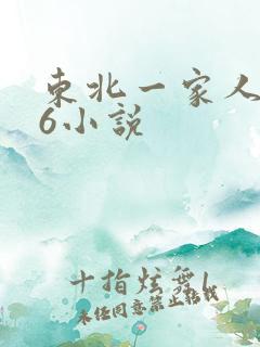 东北一家人1一6小说