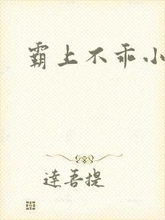 霸上不乖小逃妻