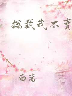 总裁我不卖宝宝