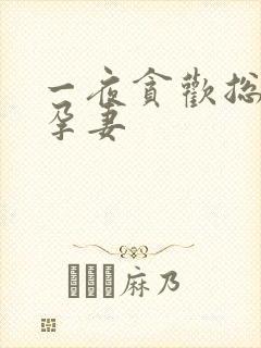 一夜贪欢总裁幸孕妻