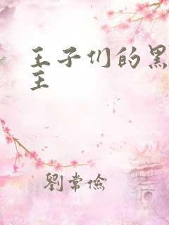 王子们的黑道公主