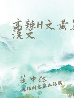 高辣H文黄暴糙汉文