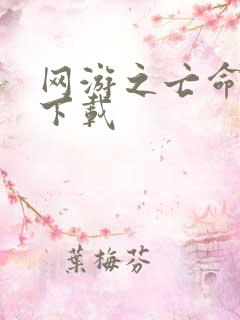 网游之亡命天涯下载