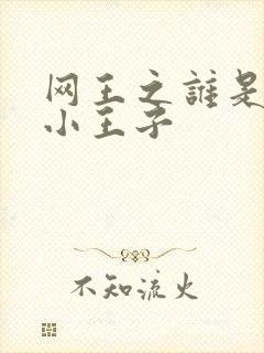 网王之谁是我的小王子