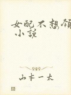 女配不想领便当 小说