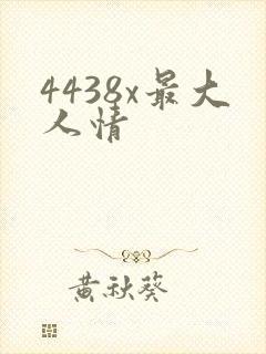 4438x最大人情