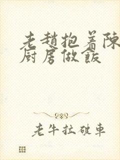 老赵抱着陈婷在厨房做饭