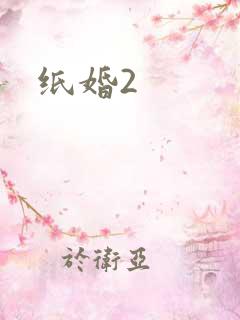 纸婚2