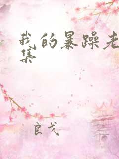 我的暴躁老妈全集