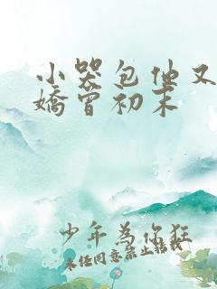 小哭包他又软又娇曾初末