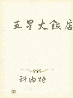 五星大饭店小说