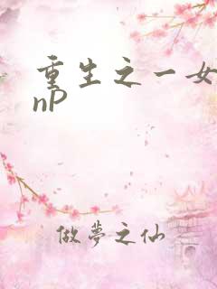 重生之一女九龙nP