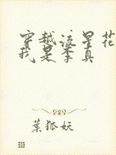 穿越流星花园之我是李真