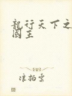 龙行天下之真假国主