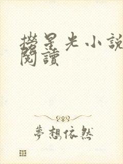 捞星光小说免费阅读