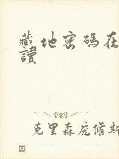 藏地密码在线阅读