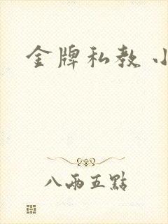 金牌私教 小说