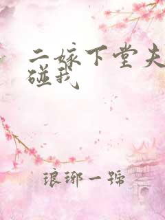 二嫁下堂夫君别碰我