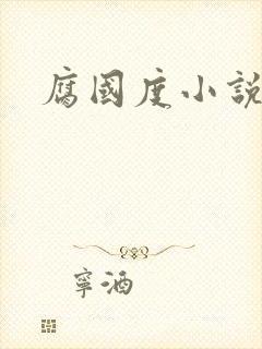 腐国度小说