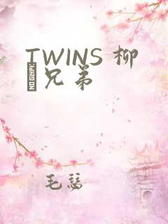 TWINS 柳澤兄弟