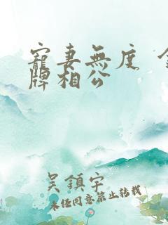 宠妻无度  金牌相公