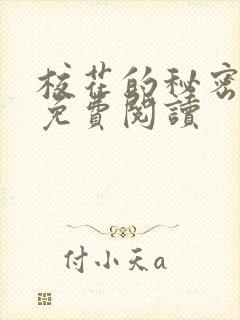 校花的秘密小说免费阅读