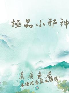 极品小邪神