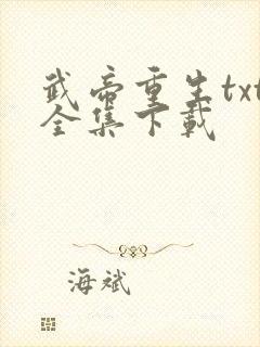 武帝重生txt全集下载