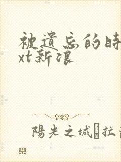 被遗忘的时光txt新浪