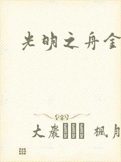 光明之舟金手指