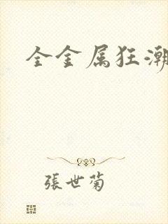 全金属狂潮小说